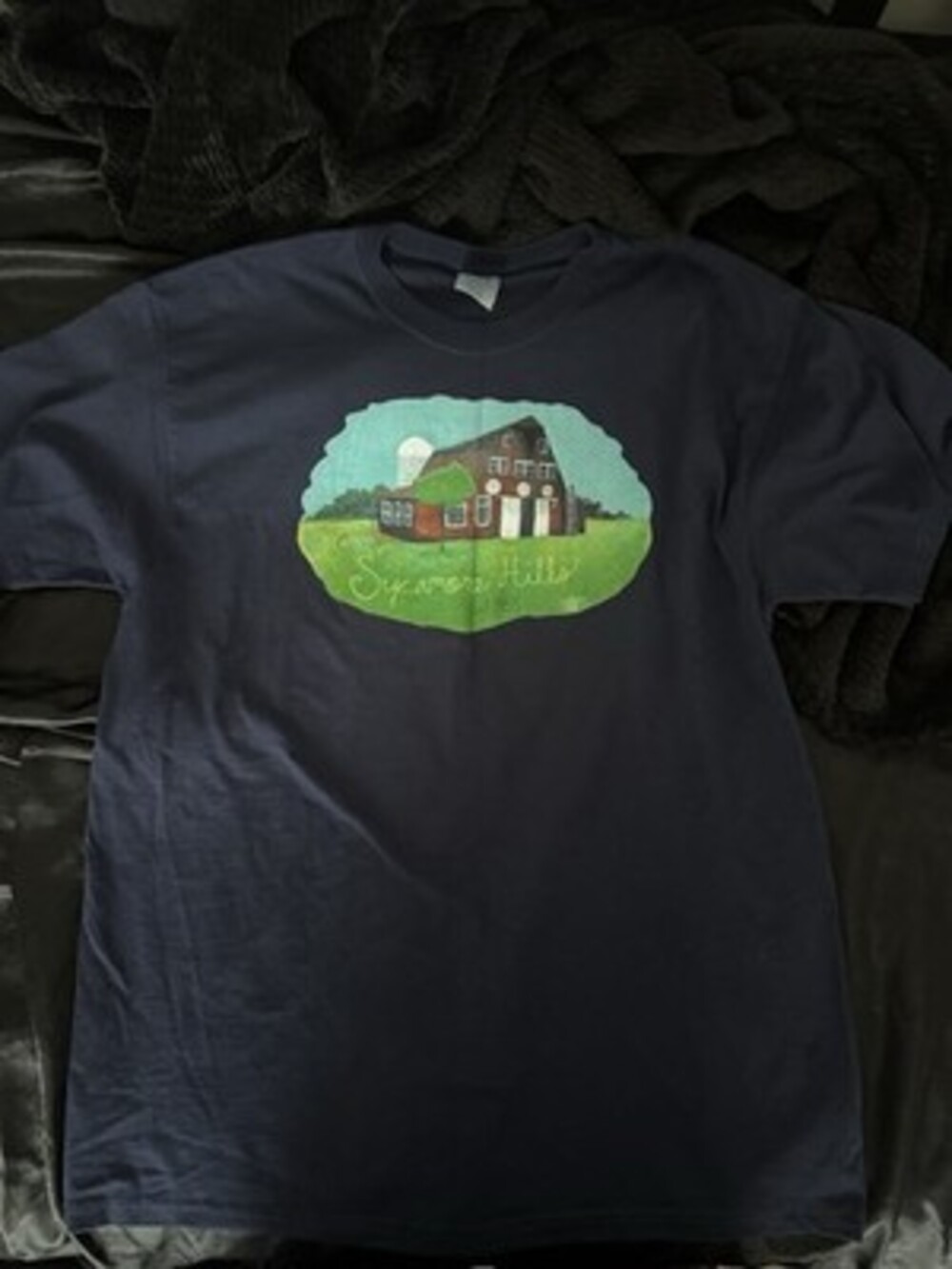 Jerzees Heavyweight Blend Men's Blue Graphic Crew Neck T-Shirt XL House Theme